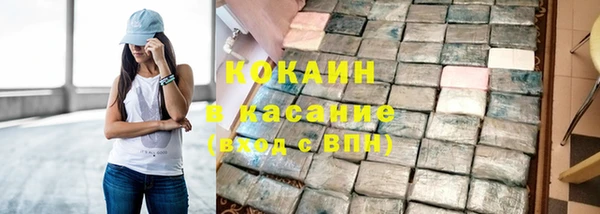 дживик Богородск