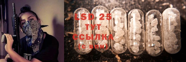 дживик Богородск