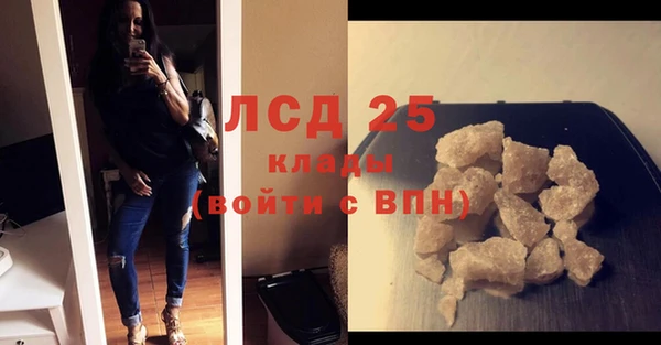 дживик Богородск