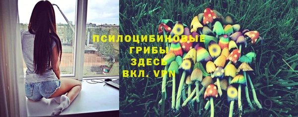 мяу мяу кристалл Богородицк