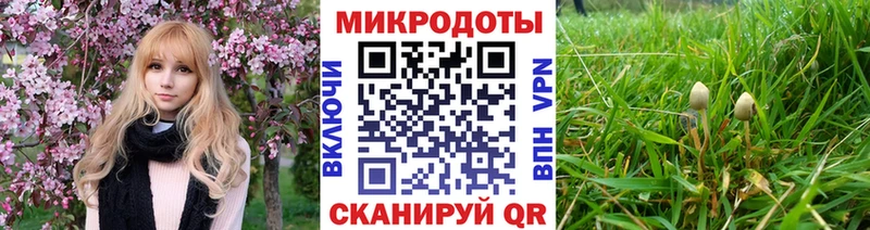 Купить закладки  Покачи  Псилоцибиновые грибы прущие грибы 