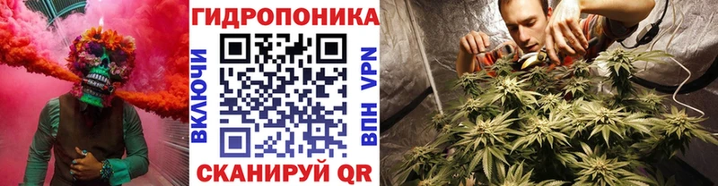 Шишки марихуана план  Купить закладки  Покачи 